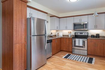 Stainless steel appliances